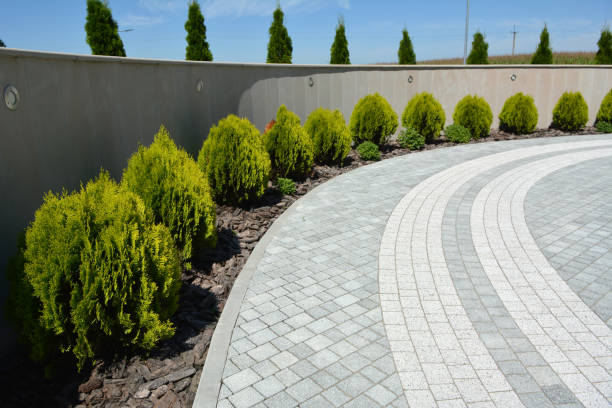 Best Driveway Pavers Near Me  in Brush Prairie, WA